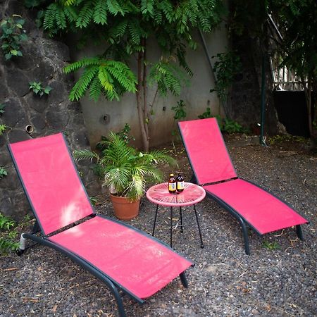 Le Bambou T3 Centre Ville Sainte Clotilde Rez De Jardin Bois de Nefles  Eksteriør billede