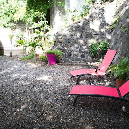 Le Bambou T3 Centre Ville Sainte Clotilde Rez De Jardin Bois de Nefles  Eksteriør billede